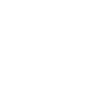 bullseye icon
